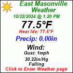 Current Weather Conditions in East Masonville, NY