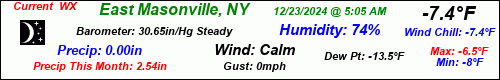 Current Weather Conditions in East Masonville, NY