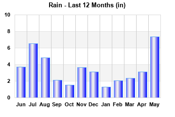 Rain this Year